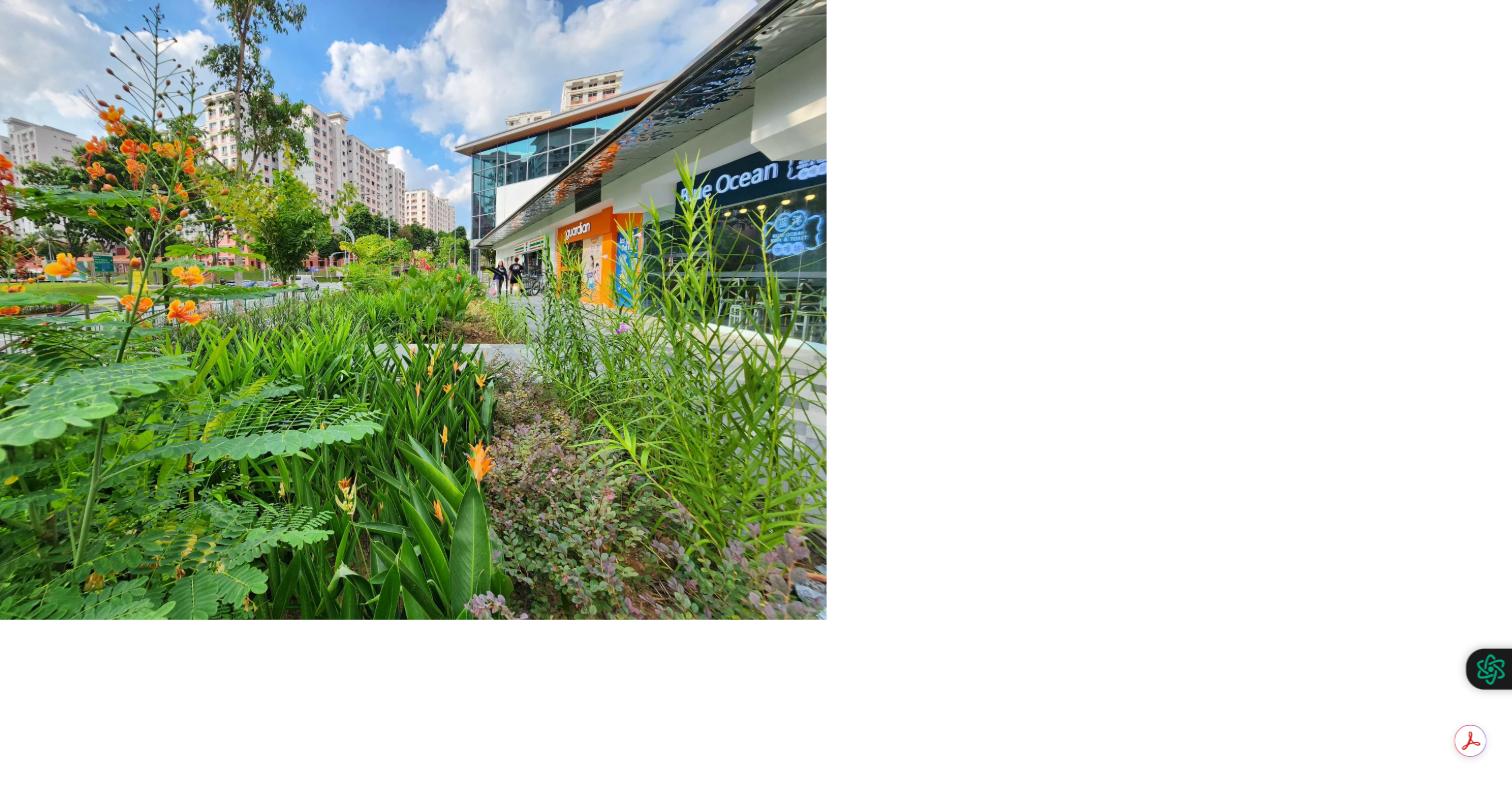 Completed pedestrian walkway with flowering rain garden planting outside Limbang Shopping Centre