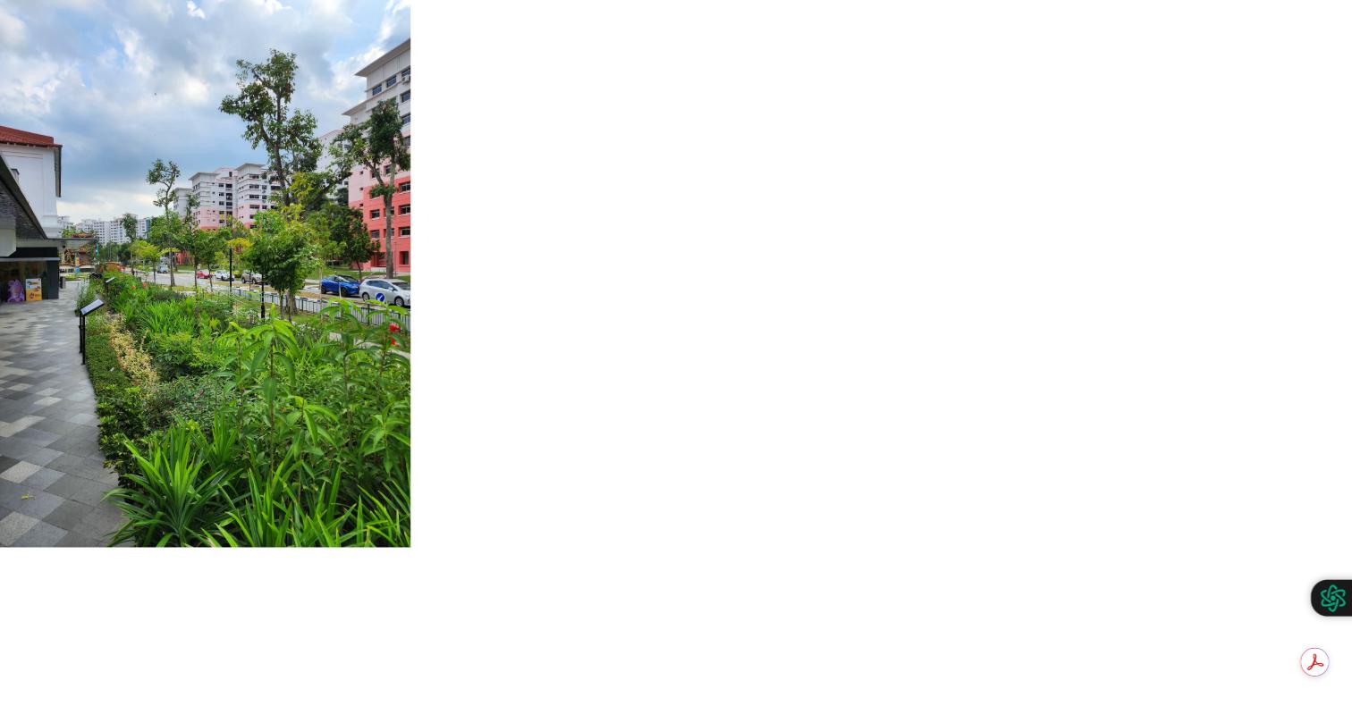 Landscaped rain garden planting along the pedestrian walkway at Limbang Shopping Centre